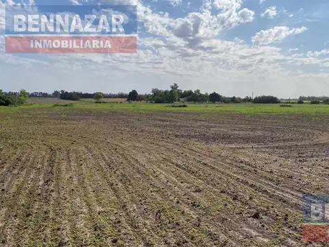 40 Hectareas, gobernandor castro, provincia de buenos aires