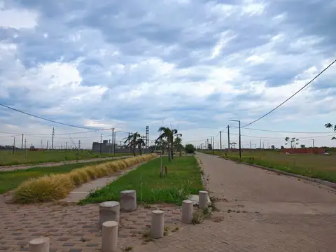 Belvedere - Urbano