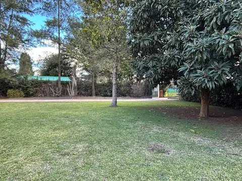 Castañeda al 100