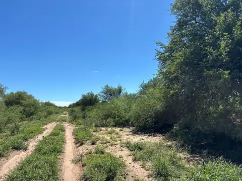 Venta Campo Ganadero 2183 hectáreas en Quilino