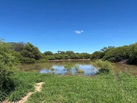 Venta Campo Ganadero 2183 hectáreas en Quilino