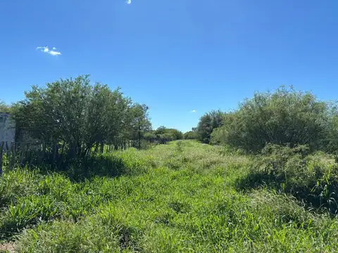 Venta Campo Ganadero 2183 hectáreas en Quilino