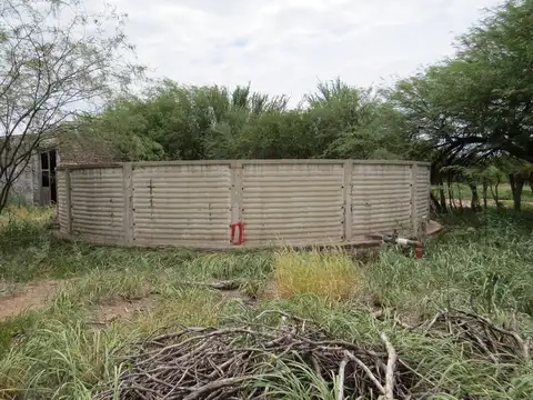 Venta Campo Ganadero 2183 hectáreas en Quilino