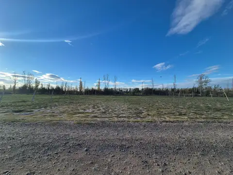 Terreno en Venta de 1502,0 m2