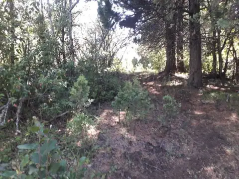 SE VENDE HERMOSA CHACRA