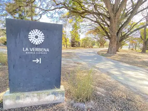 La Verbena C. 10 Lote 100