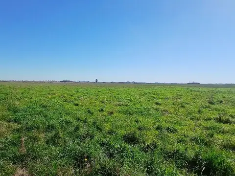 Se vende campo de 201 Has. en Sta. Teresa, Sta. Fe