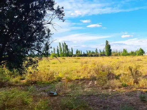 Terreno en Venta de 10000,0 m2