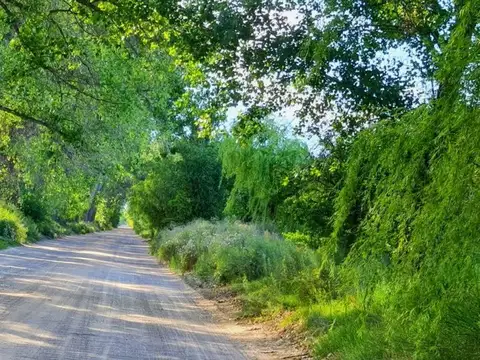 VENTA 9 LOTES EN BLOQUE EN LAS PAREDES, SAN RAFAEL