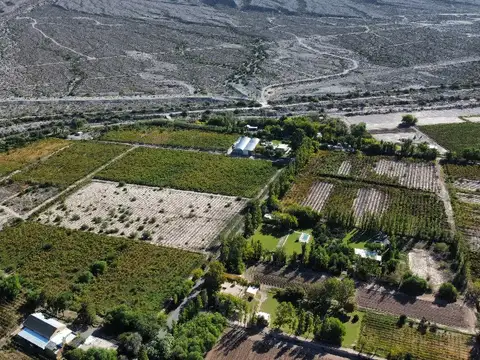 Campo en Venta de 11  ha