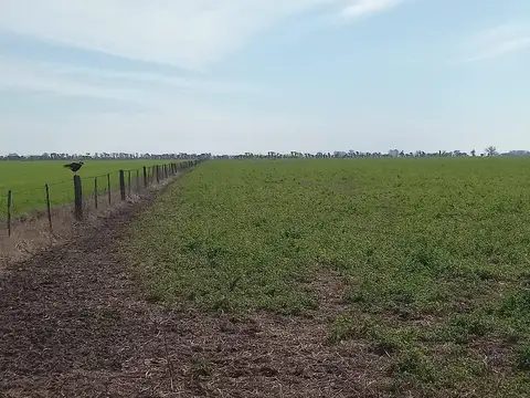 Campo de 47 has En Egusquiza