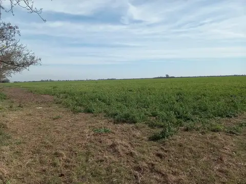 Campo de 47 has En Egusquiza