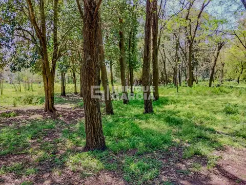 ALQUILER CHACRA CON CASA CAMPO GALPÓN COCHERA BENQUERENCIA