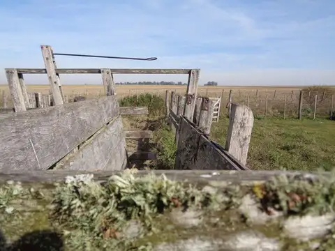 Campo en Venta de 230  ha