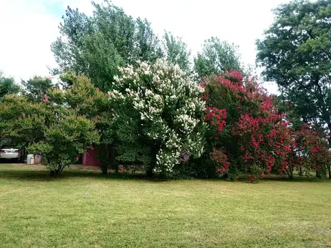 ALQUILER CASA Y 1 HECTAREA DE LOTE CAÑADA DE GOMEZ