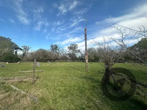 Terreno en Venta 95  mts Fondo