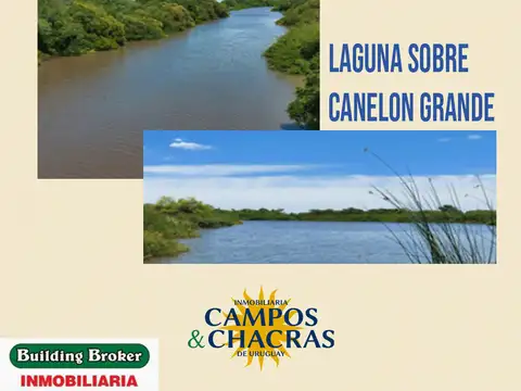 Campo en venta de 143 Has., en el departamento de Canelones, Uruguay.