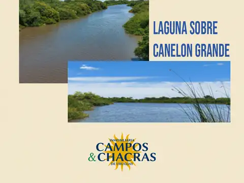 Campo en venta de 143 Has., en el departamento de Canelones, Uruguay.