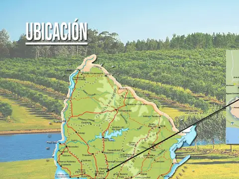 Acceso ruta 46