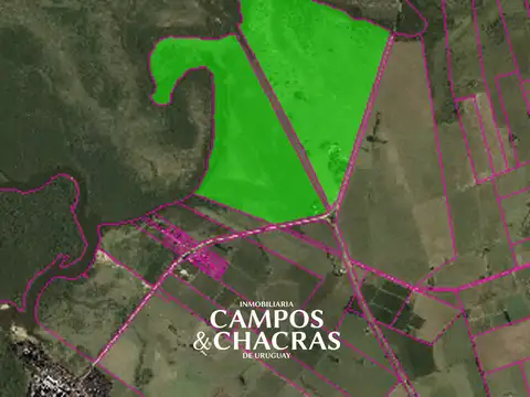 Campo en Venta Mixto