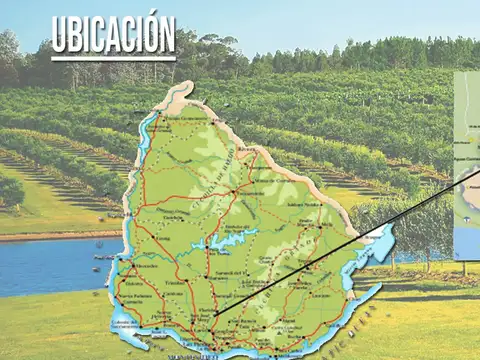 Acceso ruta 46