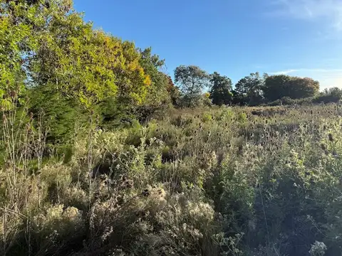 Terreno en Venta de 2713,0 m2