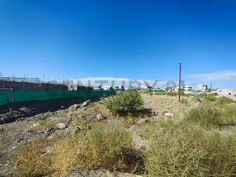 Regalado Olguín 100, Piso 0