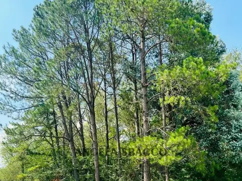 Terreno en Venta de 1600,0 m2