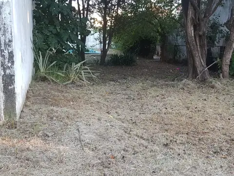 F Chiclana 5800, Piso pb