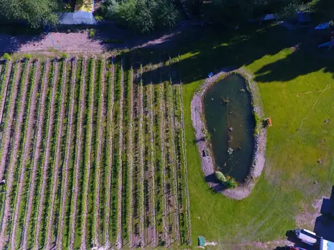 Hosteria y Viñedo en Gualjaina, Chubut Argentina.