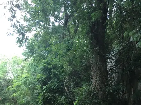 Terreno en Venta de 570,0 m2