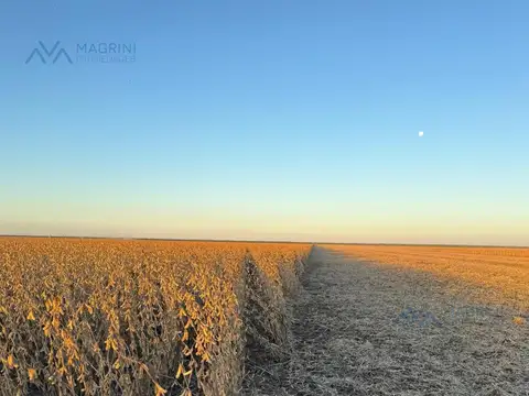 Campo Agrícola de 3750 Has. I y II en Zona Quimilí, Santiago del Estero, Argentina