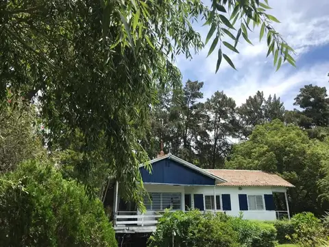 Rio Urion (sección Islas del Parana) a 300 mts del rio Borazo 100