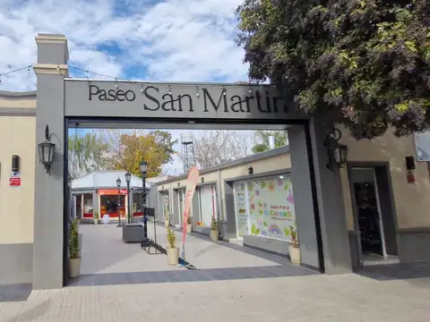 San Martin 1000