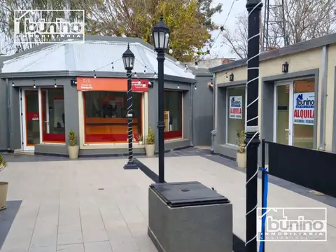 LOCAL COMERCIAL EN ALQUILER - PASEO SAN MARTIN IBARLUCEA