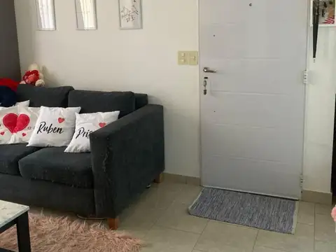 Casuarinas Premium 100