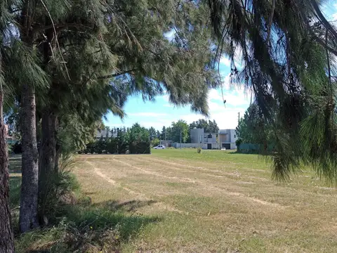 Terreno en Venta 40  mts Fondo