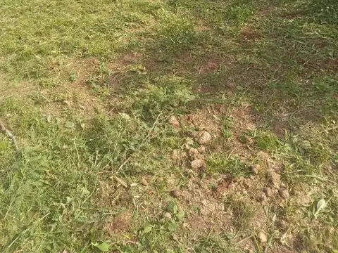 Terreno en Venta en Cortaderas, USD 29.900