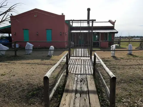 Medal Country Club Pilar