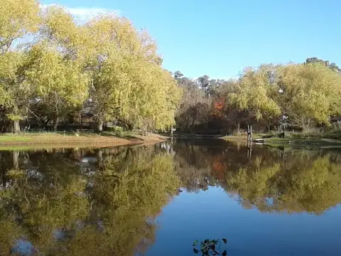 Campo en Venta Lobos 3 Hectáreas
