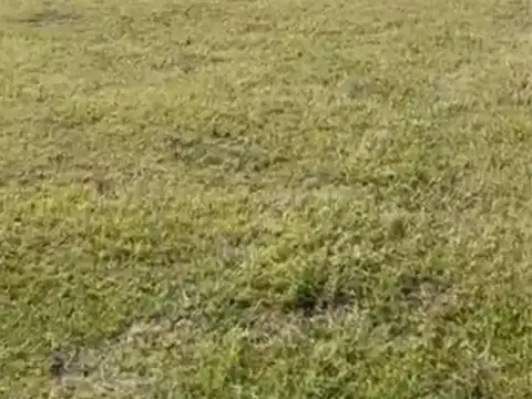 Terreno en Venta en San Lucas, USD 49.500