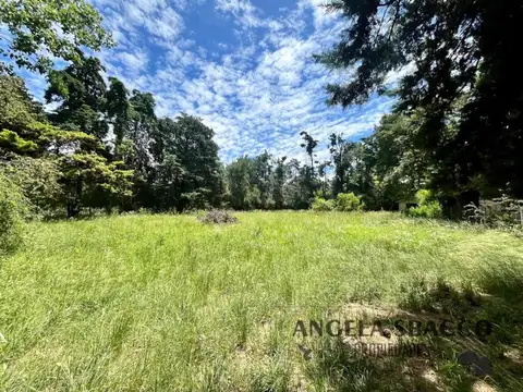 La Cueca, El Remanso.