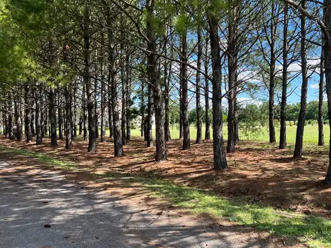 Terreno en Venta en La Macarena, USD 170.000