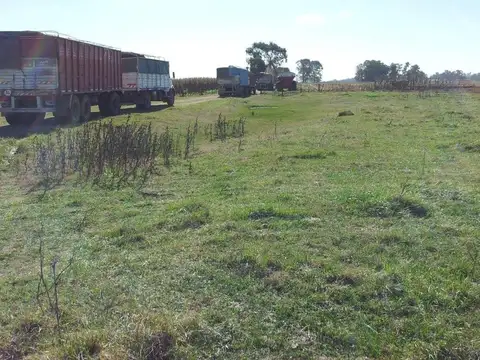 Campo 323 has en Roque Perez