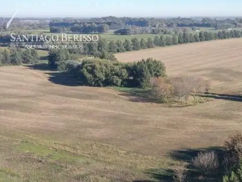 73 ha. Los Cardales / apto desarrollo