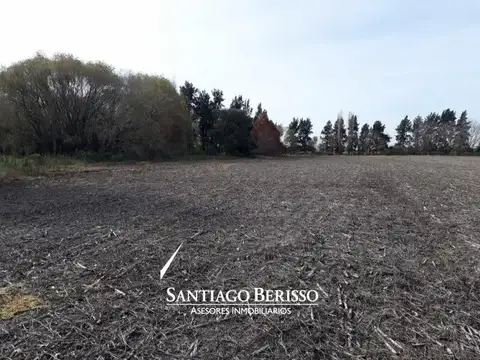 73 ha. Los Cardales / apto desarrollo