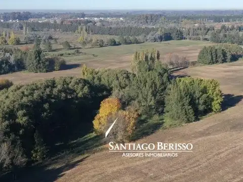 73 ha. Los Cardales / apto desarrollo
