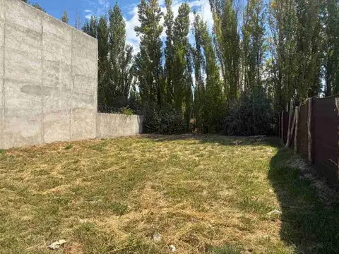 Terreno en Venta en General Roca, USD 12.500