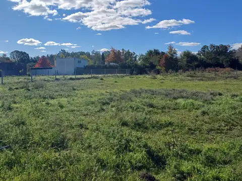 Terreno apto divisible en 4 lotes. Villa Lia