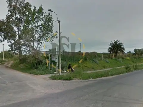 RAIZ, CNO. CORONEL 100